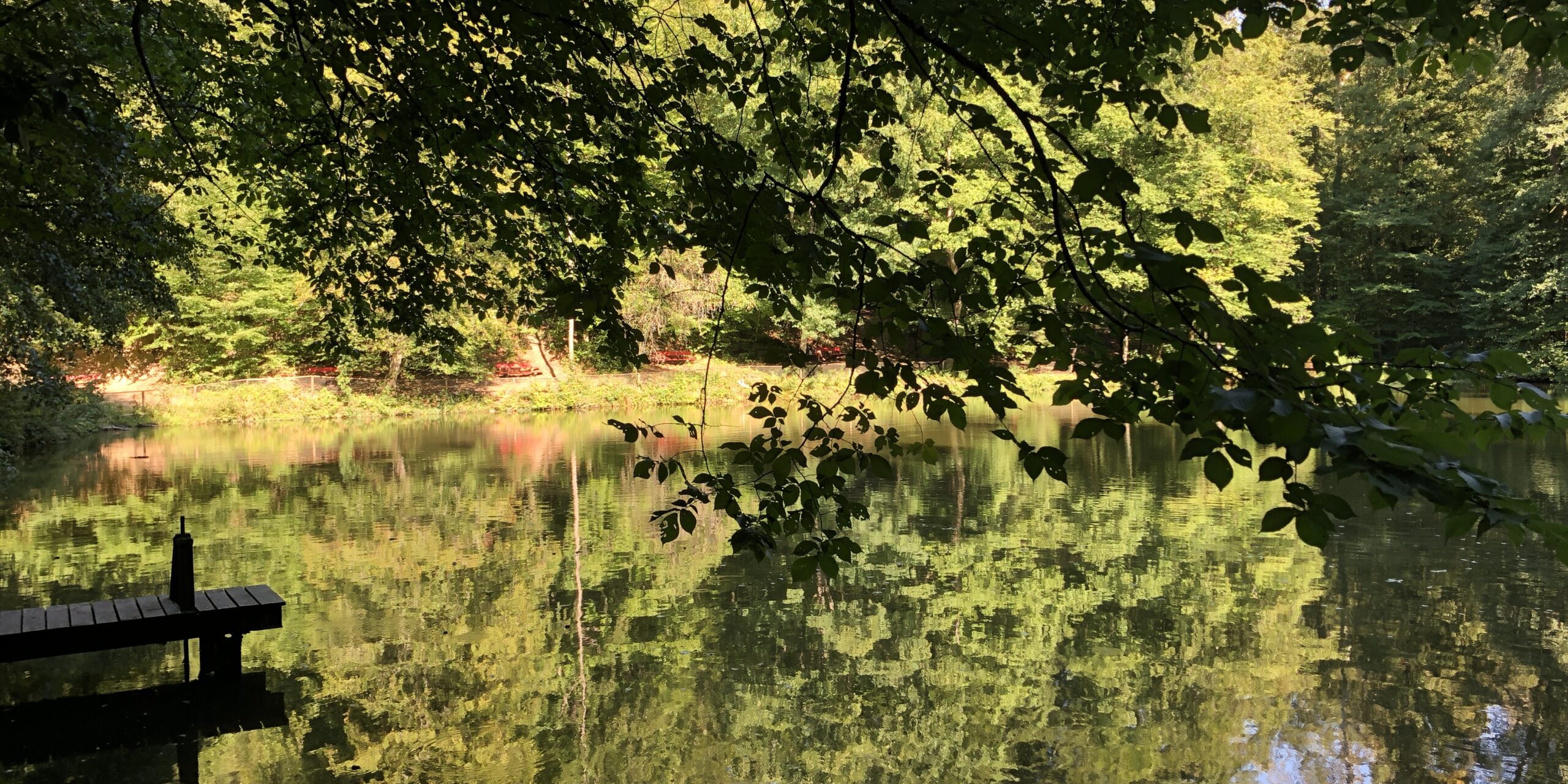fwv-feuerwehrverein-lenzburg-fünfweiher2-2018
