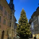 fwv-feuerwehrverein-lenzburg-adventsfeier-2022-baum-abend