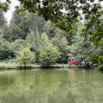 fwv-feuerwehrverein-lenzburg-fünfweiher2022-2